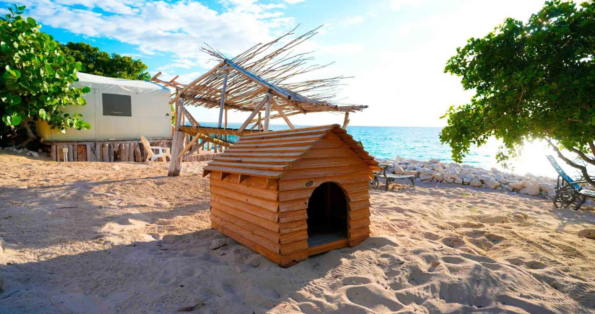 Glamping Ecolodge Cueva De Las Aguilas Pedernales Extérieur photo